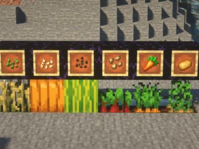 How to Get Seeds in Minecraft Easily in 2021