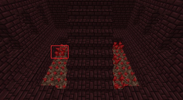 Nether Warts for Awkward Potion in Minecraft