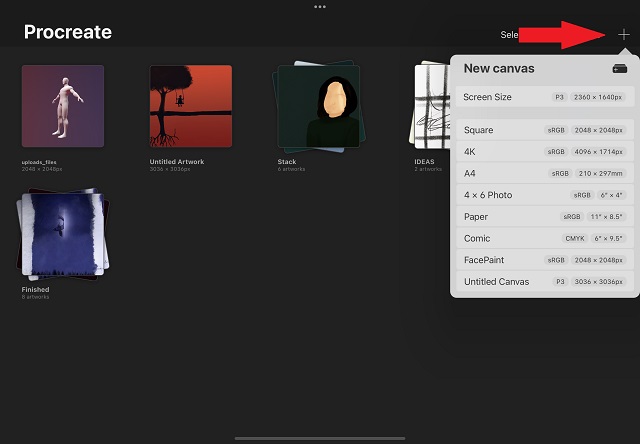 New Canvas in Procreate