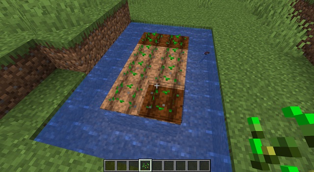 Planted Seeds in Minecraft