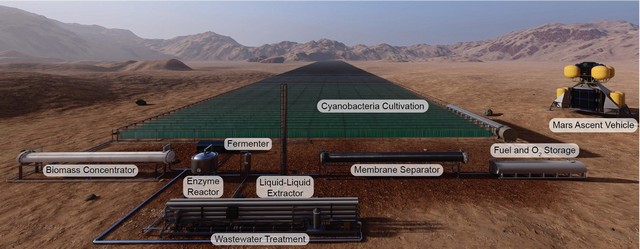 Researchers Propose a Way to Produce Martian Rocket Biofuel Using Micro-Organisms