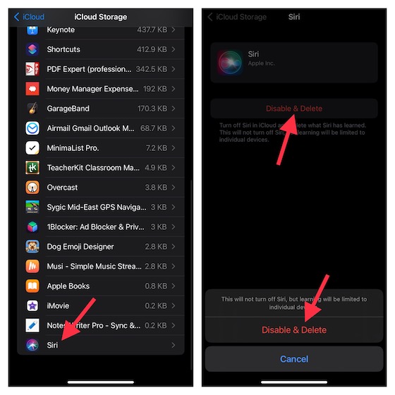 Turn off Siri in iCloud and Delete What It Has Learned 