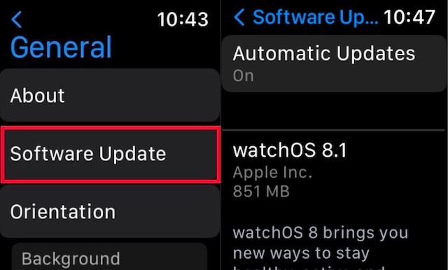 Update software on Apple watch 