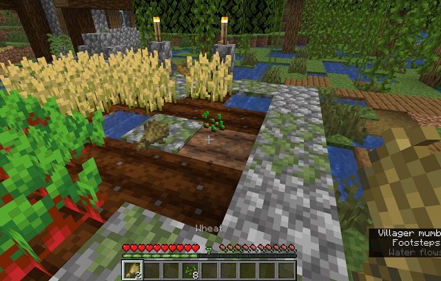 wheat seeds minecraft