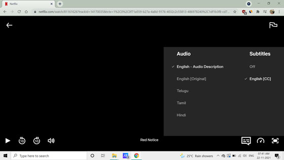 use audio description in netflix