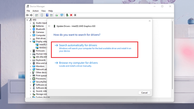 search automatically for drivers w11