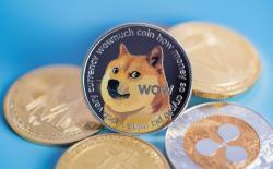 Dogecoin, Shiba Inu Become the Most Traded Cryptocurrencies in India