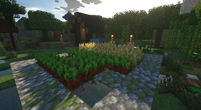 How to Plant Seeds in Minecraft