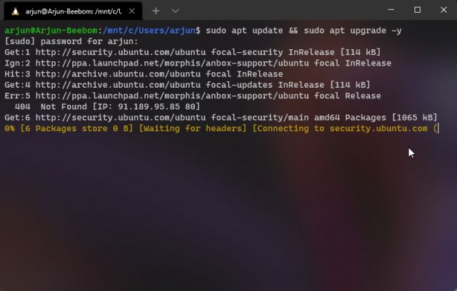 Customize WSL/Ubuntu in Windows Terminal With Oh My Posh