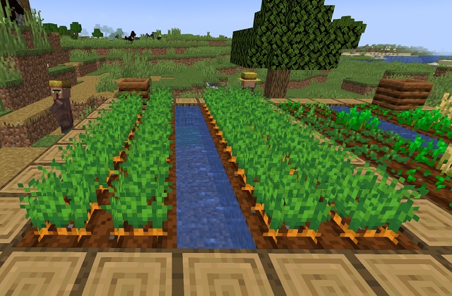 Granja de zanahorias en Minecraft