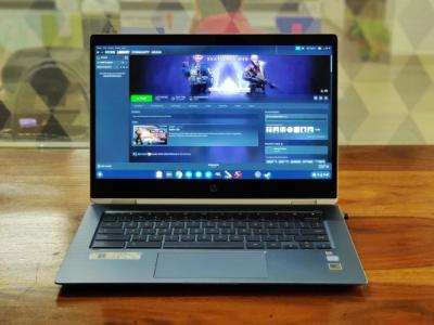 Everything You Need to Know About Borealis on Chromebook (Steam Gaming)