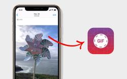 How to Convert Live Photos into GIFs on iPhone