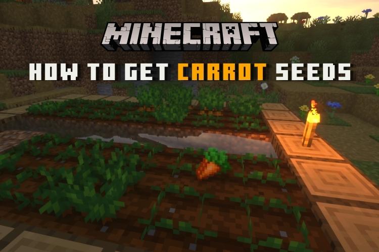 How to Get Carrots in Minecraft
https://beebom.com/wp-content/uploads/2021/12/How-to-Get-Carrot-Seeds.jpg?w=750&quality=75