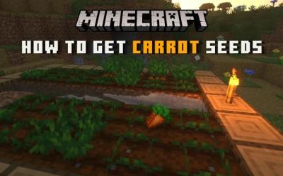 How to Get Carrot Seeds in Minecraft