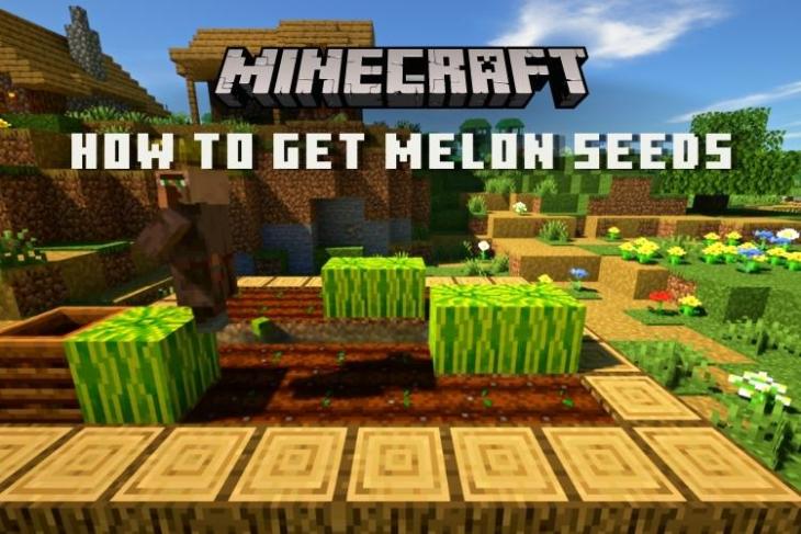 How to Get Melon Seeds in Minecraft