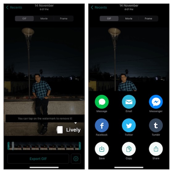 Lively Live Photos to GIFs Converter لنظام iOS - قم بتحويل Live Photos إلى GIF على iPhone