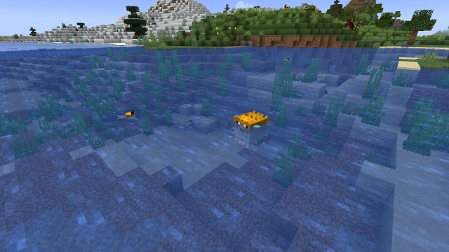 Peces globo en Minecraft