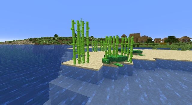 Sugar Cane in Minecraft