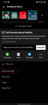 open app setting on netflix app