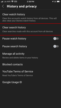 How to delete youtube history on ipad best sale without account