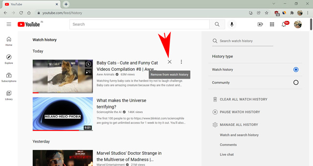 How to remove youtube search online history