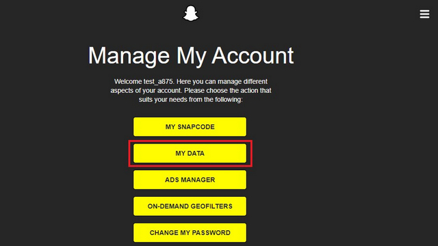 manage account snapchat