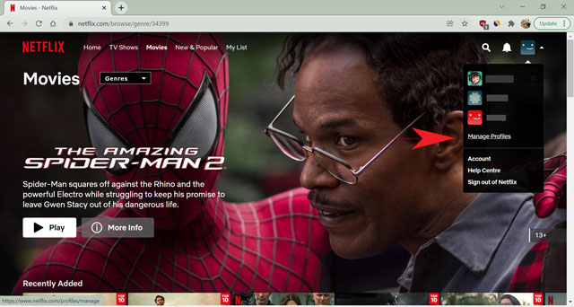 manage profile option on netflix for browser