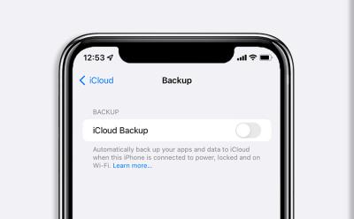 selectively backup data to icloud featured