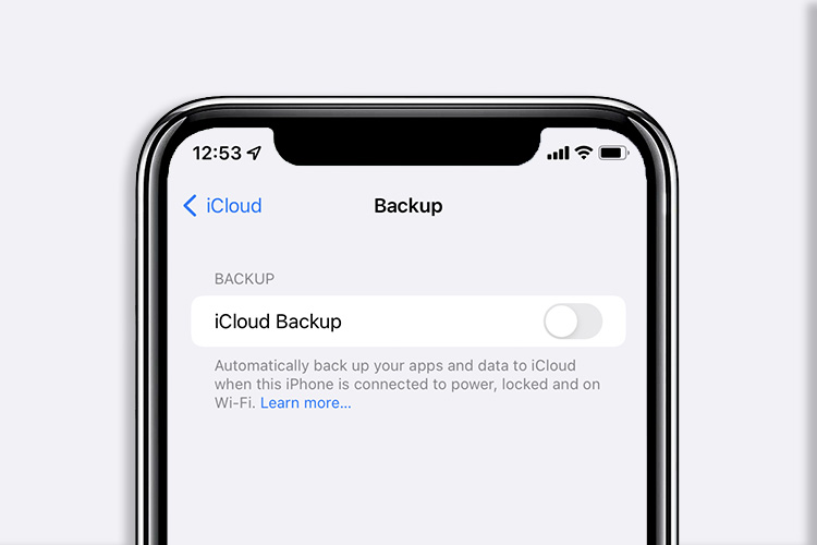 selectively backup data to icloud featured