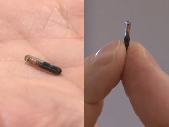 World's Smallest Implantable Chip