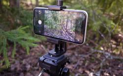 Best Tripods for iPhone You Can Buy Right Now
