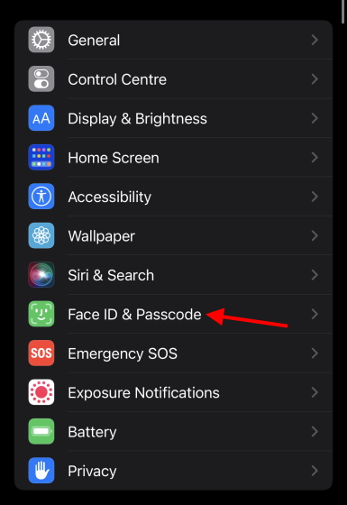 face id mask passcode settings