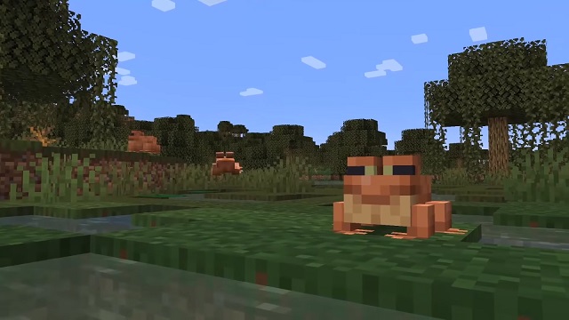 Frogs in Minecraft 1.19 New Mobs