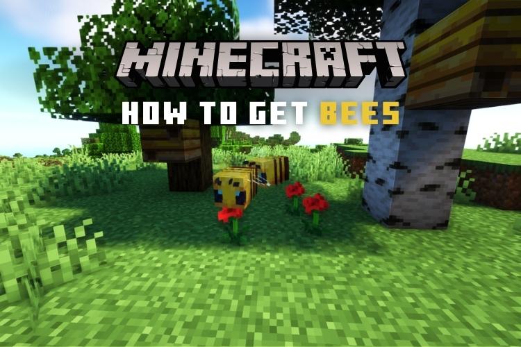Hur man får bin i Minecraft Java och Bedrock Edition