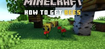 How to Get Bees in Minecraft Java and Bedrock Edition