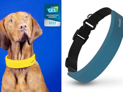 This Company Unveiled an Apple Watch-Like, Health-Focused Smart Collar for Dogs at CES 2022