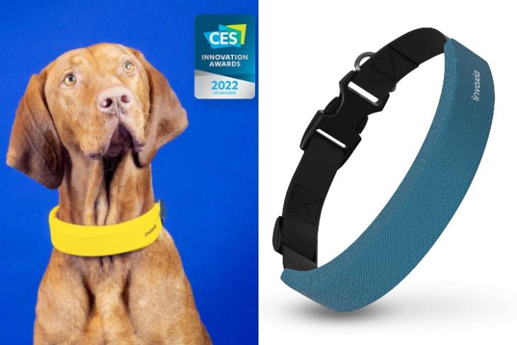 This Company Unveiled an Apple Watch-Like, Health-Focused Smart Collar for Dogs at CES 2022