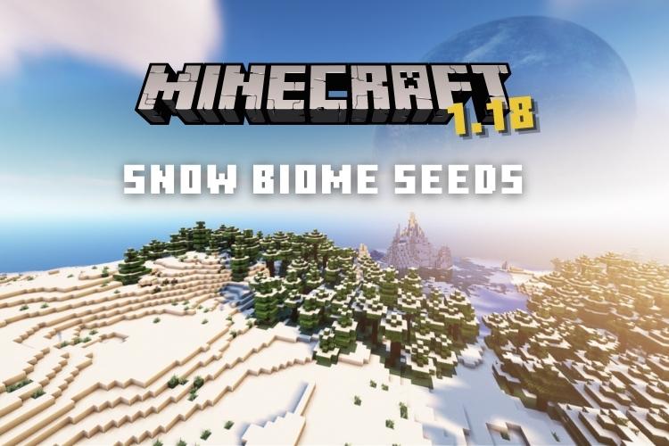 Selvrespekt Diskriminere Smidighed 12 Best Minecraft 1.18.3 Snow Biome Seeds to Explore in 2022 | Beebom