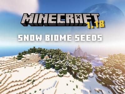 Minecraft 1.18 Snow Biome Seeds