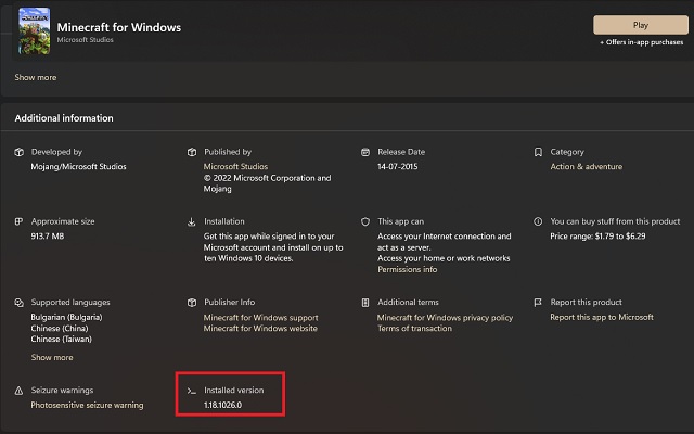 Minecraft version of MS store