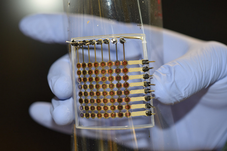 Researchers Managed to 3D Print Flexible OLED Display