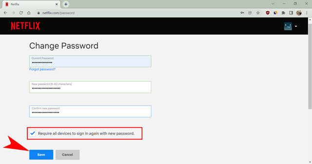 confirm changing password on netflix to kick off someone