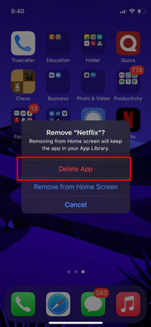 confirm deleting Netflix on iphone