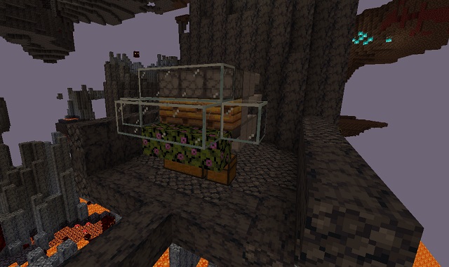 expanded bee farm