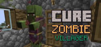 how to cure zombie villager in minecraft