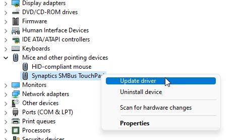 4. Re-install the Driver (Mouse and Touchpad)