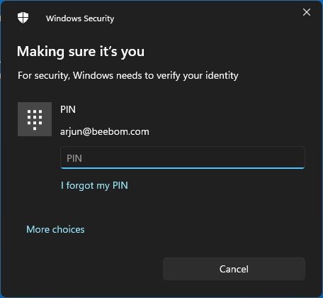 Enter the PIN or Microsoft Account Password