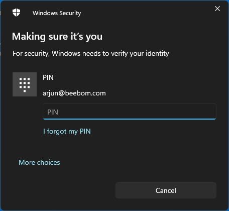 enter pin or microsoft account password