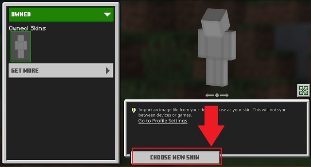 choose base new skin