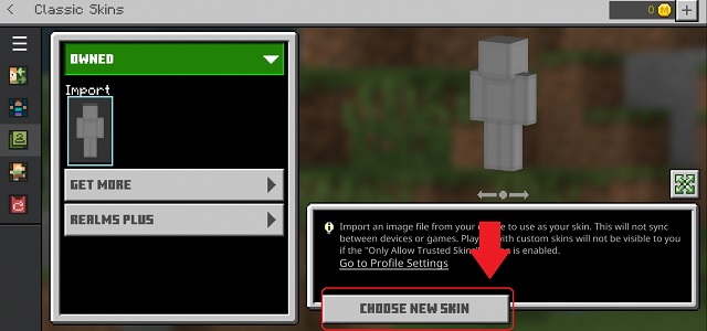 Choose a skin in MCPE